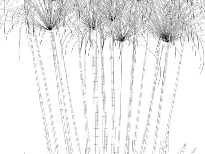 Cyperus nofretete in modern flower pot 3D model