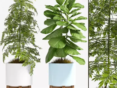 Decorative plant set-70 3D model