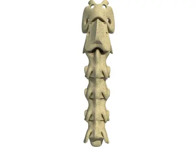 Animal Neck Cervicale 3D model