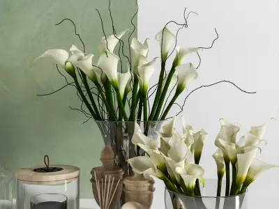 Calla Lily Decoration Set and Aromatherapy Accessories 3D model