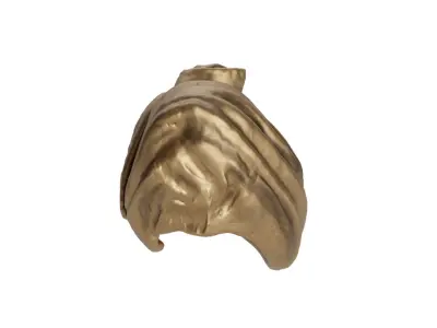 Headless Bust 3D model