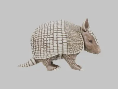 Low Poly Armadillo Low-poly 3D model