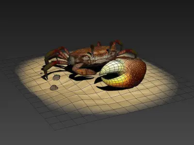 Fiddler crabs Hai River crabs hairy crabs shells oceans 3D model