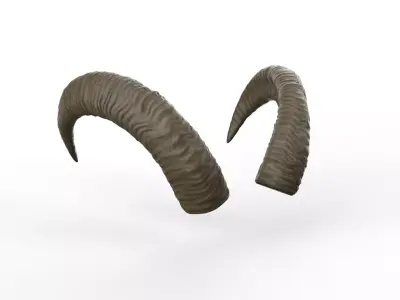 Middle horns of a goat Low-poly 3D model