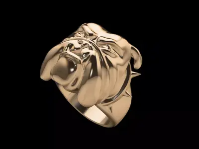 PUG RING 3D print model