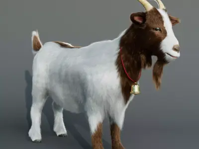 Goat realistic Low-poly 3D model