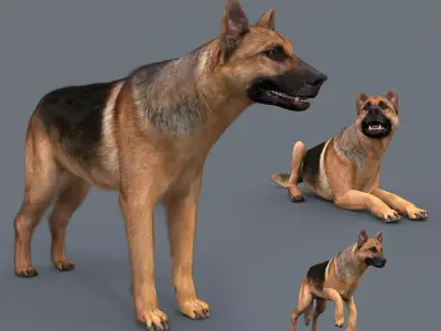 My Dog - 3d animated dog model Low-poly 3D model