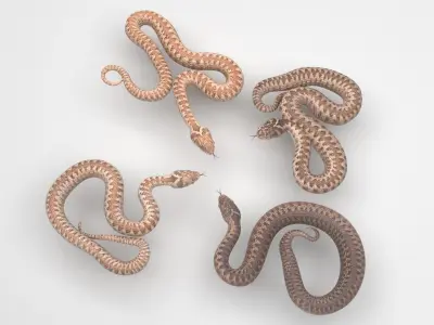 Snakes Set 3D model