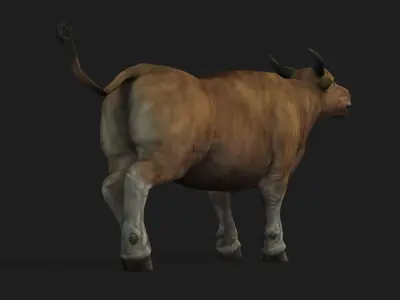 Realistic Cow Bull with Rigged body and Animation Low-poly 3D model