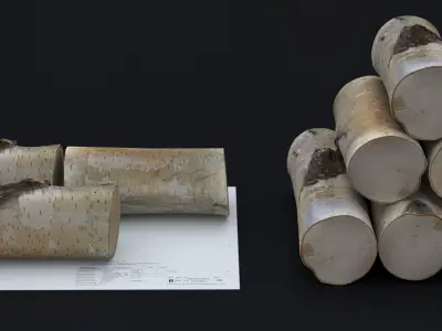 WINTER WOOD LOG 2024 3D model