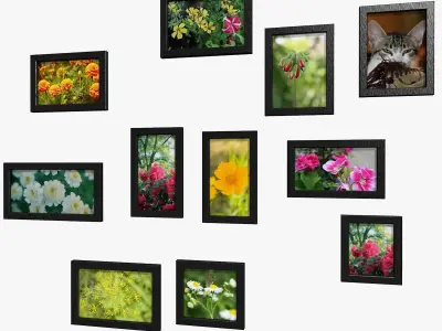 Photo Frames Collage Low-poly 3D model