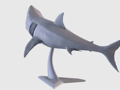 White Shark Statue 3D print model
