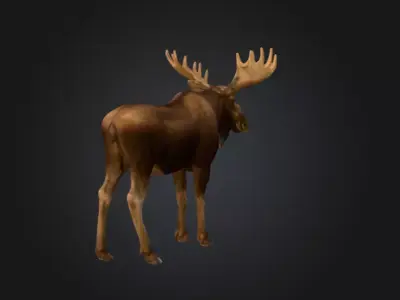 Photorealistic Male Moose Low-poly 3D model