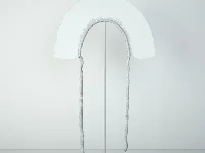 Juruna Tribe Feather Headdress 3D model