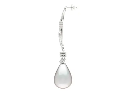 Women Drop Earrings 3dm STL OBJ FBX Renders Details 3D print model buy