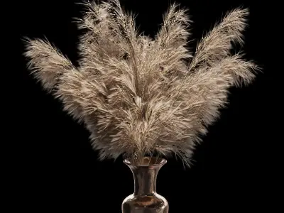 Dried plant 3D model