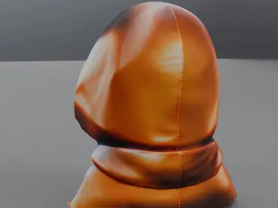 raccoon bust 3D model