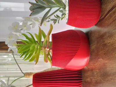 Three decorative vases 3D print model