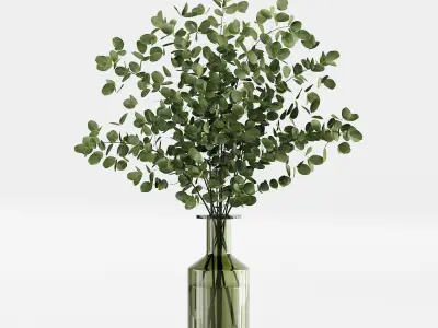Collection Indoor Plants 02 3D model