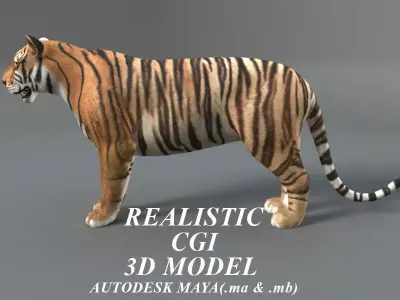 Tiger 3D model