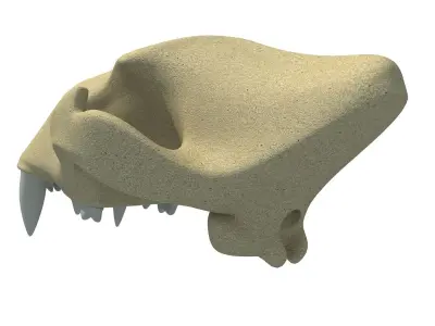 3D Skull of Lion  3D model