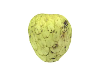 Photorealistic Cherimoya 3D Scan 6 3D model