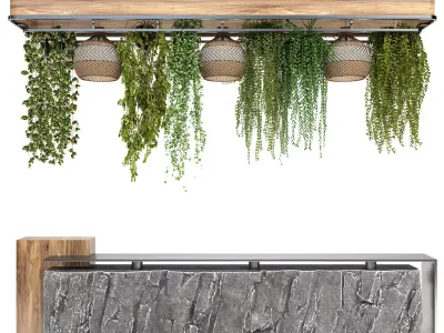 Restaurant counter with hanging plants 3D model