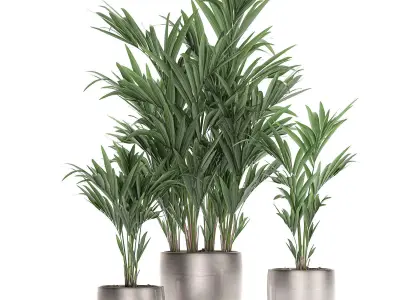 Decorative palm in a flowerpot 696 3D model