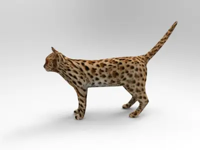 3D Wild Cat game ready low poly model  Low-poly 3D model