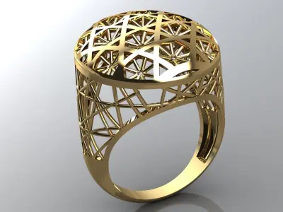 wier ring 3D print model