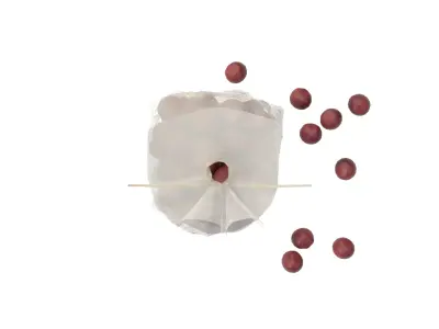 Cranberry Bowl Filler 3D model