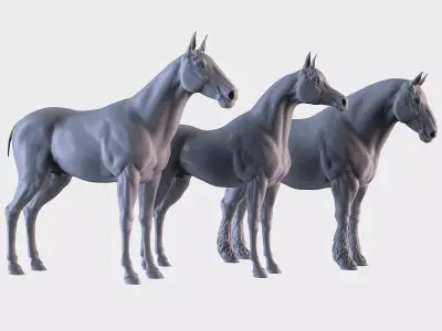 Three Horse Breeds 3D print model