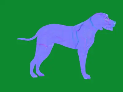 American Foxhound Dog Low-poly 3D model