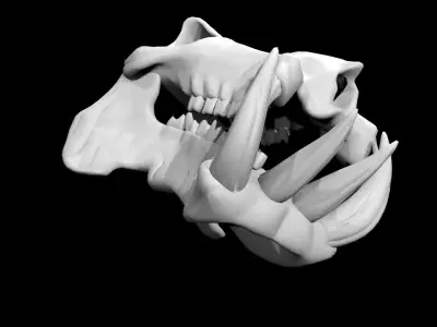 Hippo Skull Low-poly 3D model purchase