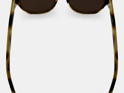 Percey Sunglasses in Striped Sassafras 3D model