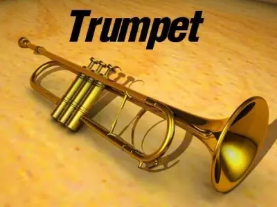 Trumpet golden 3D model
