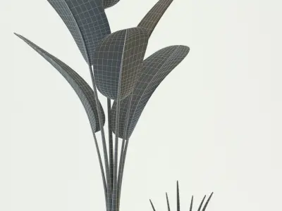 Plants collection 76 Modernica pots 3D model