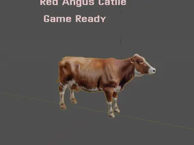 Red Angus Beef Cattle 3D model