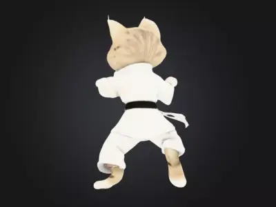 Karate Cat Detailed Mid Poly 3d print ready model  3D model