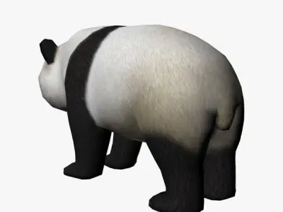 Panda bear Low-poly 3D model shop