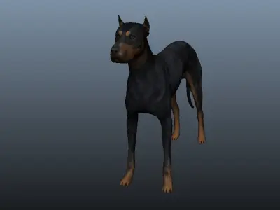 Dog 3D model rig Low-poly 3D model