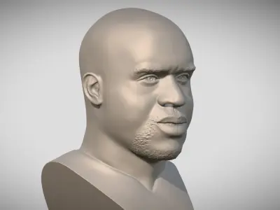 Shaquille ONeal bust 3D print model