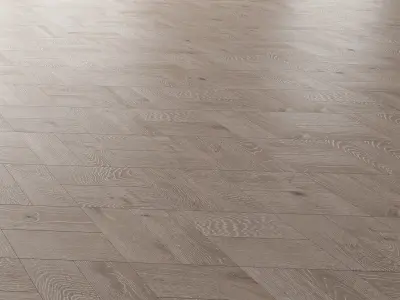 Parquet Oak Nordic NEW WWL set 5 3D model