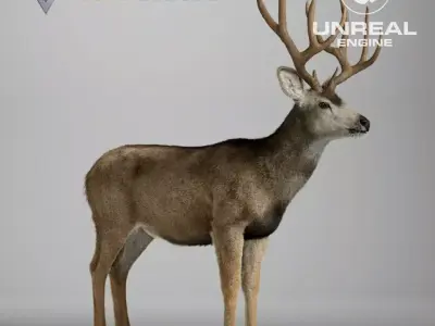 Mule Deer Male  UE Character Asset 3D model