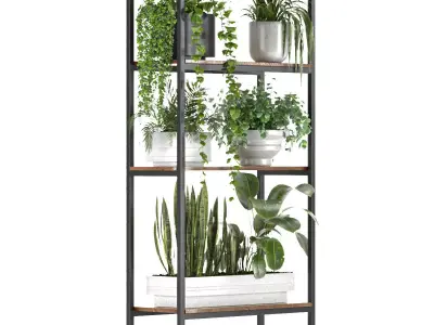 Metal Stand and Wooden Shelf Plant 3D model