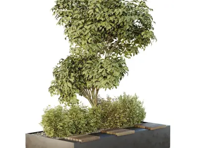 HQ Tree and bush garden box outdoor VOL 34 3D model