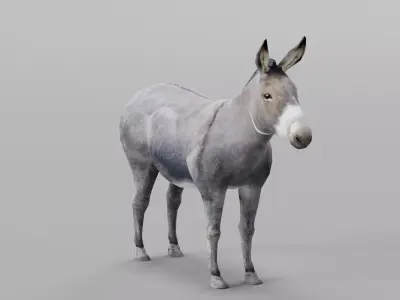 Donkey Animals lowpoly Low-poly 3D model