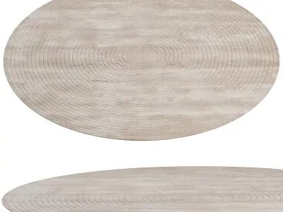 Round Rug 3D model