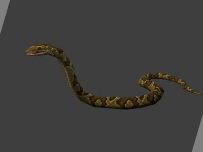 Animated Snakes Pack Low-poly 3D model