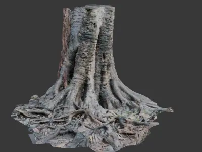 Ancient Tree Stump with Roots scan Low-poly 3D model
